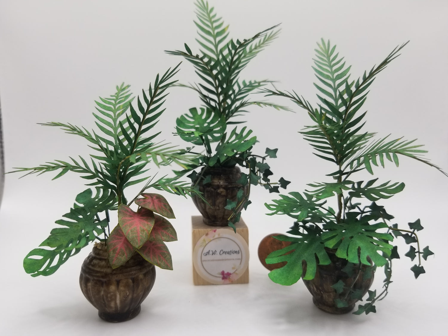 Plants