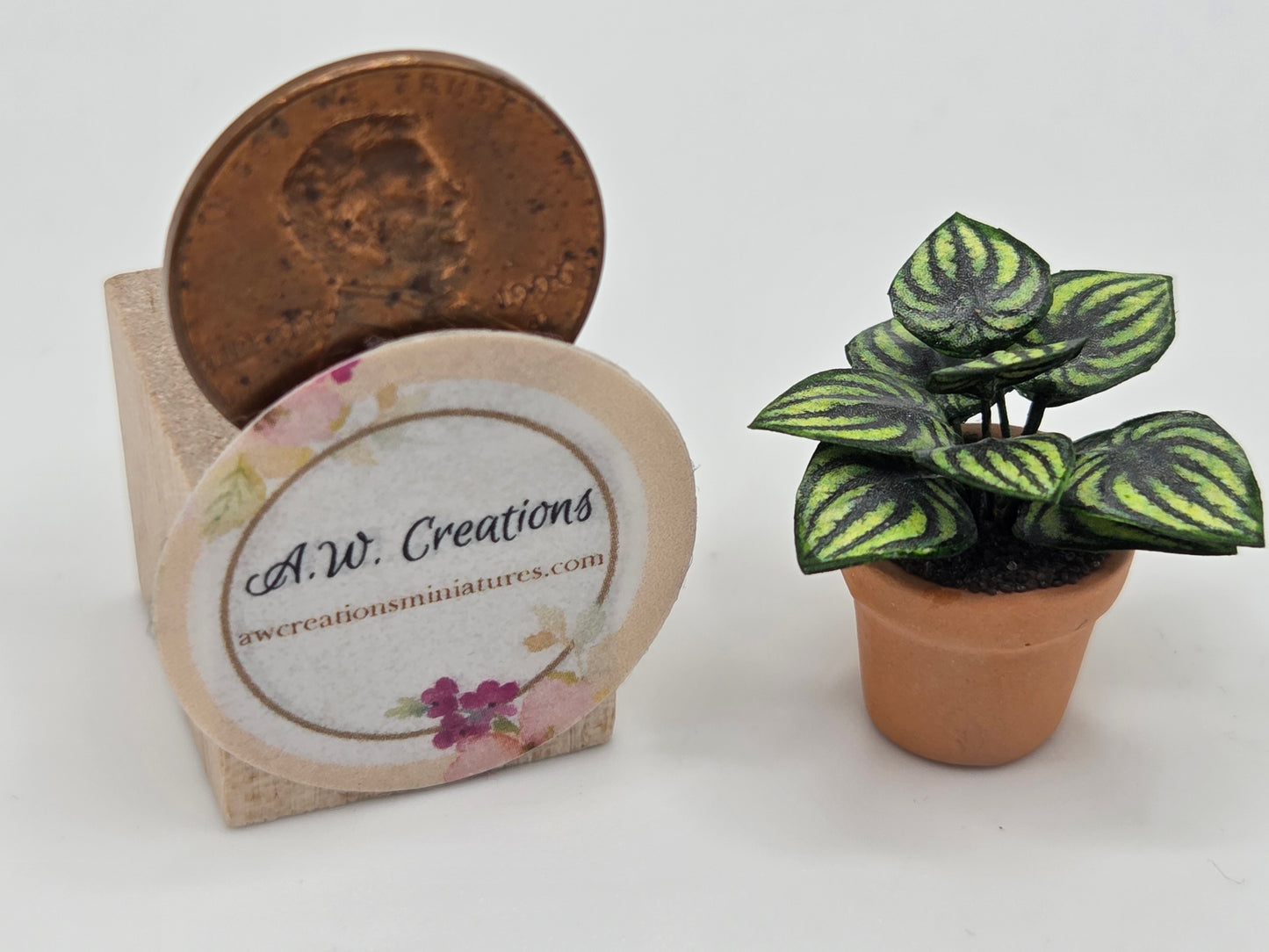 Plant 15mm Pot - Dark Green Broad Leaf