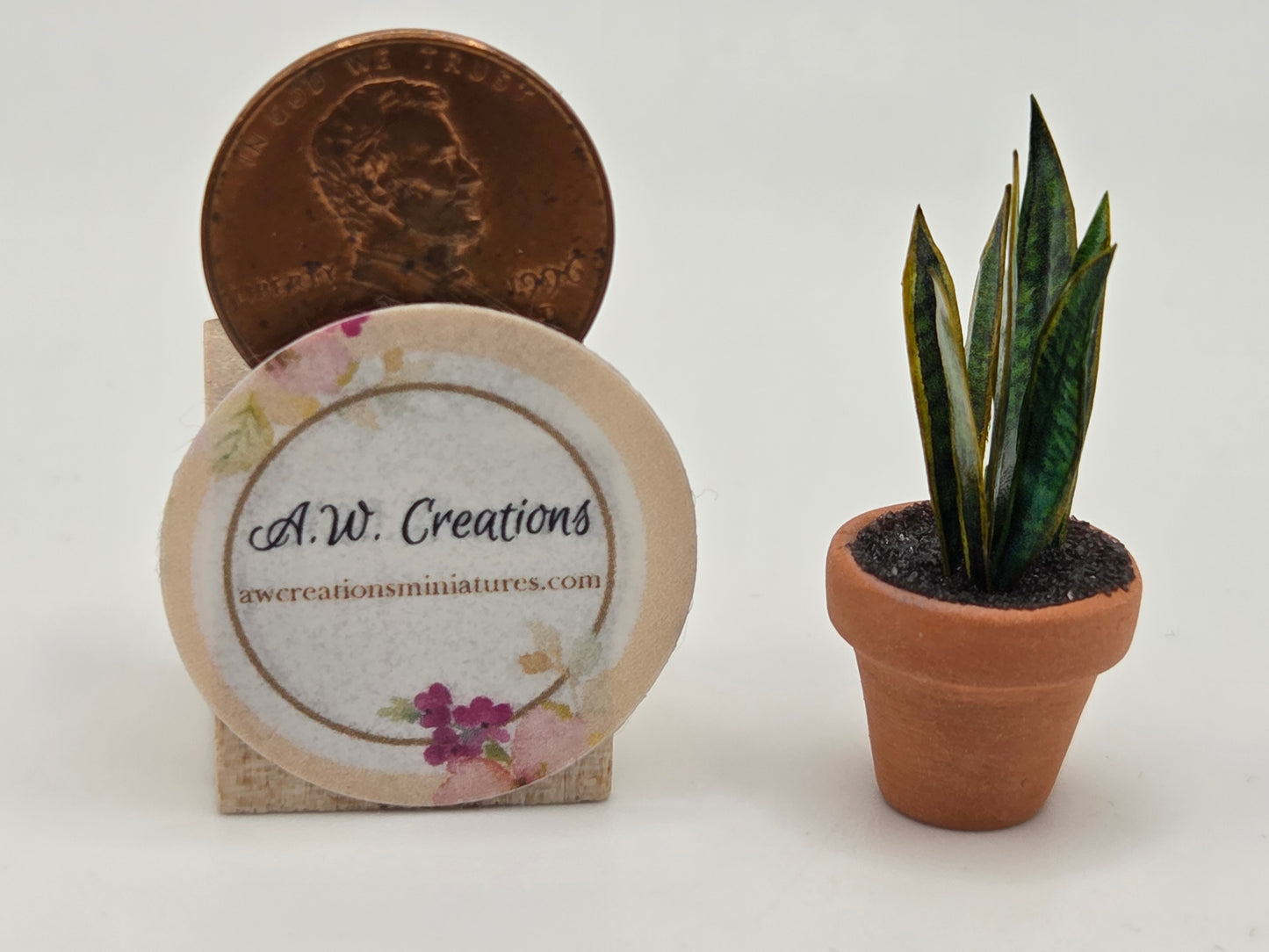 Plant 15mm Pot - Mother In Law Tongue Plant