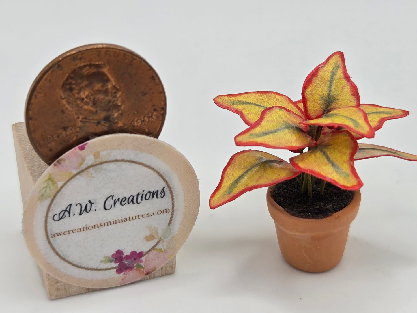 Plant 15mm Pot - Yellow Coleus