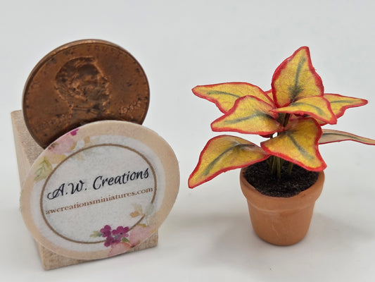 Plant 15mm Pot - Yellow Coleus