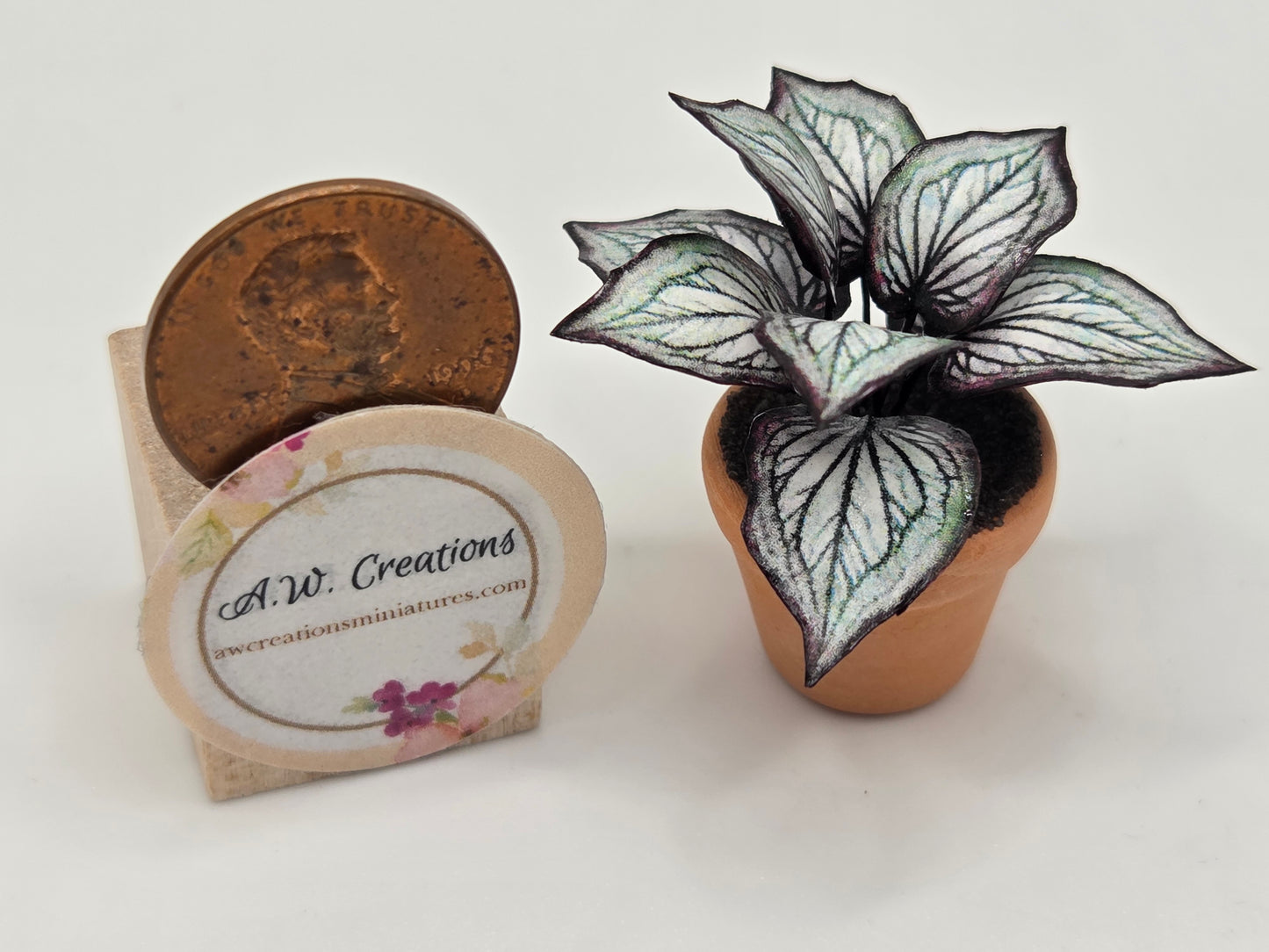Plant 3/4" Pot - Dark Purple Veined Plant