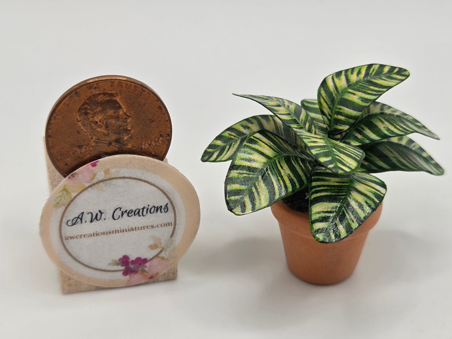 Plant 3/4" Pot - Green & Yellow Striped Leaf