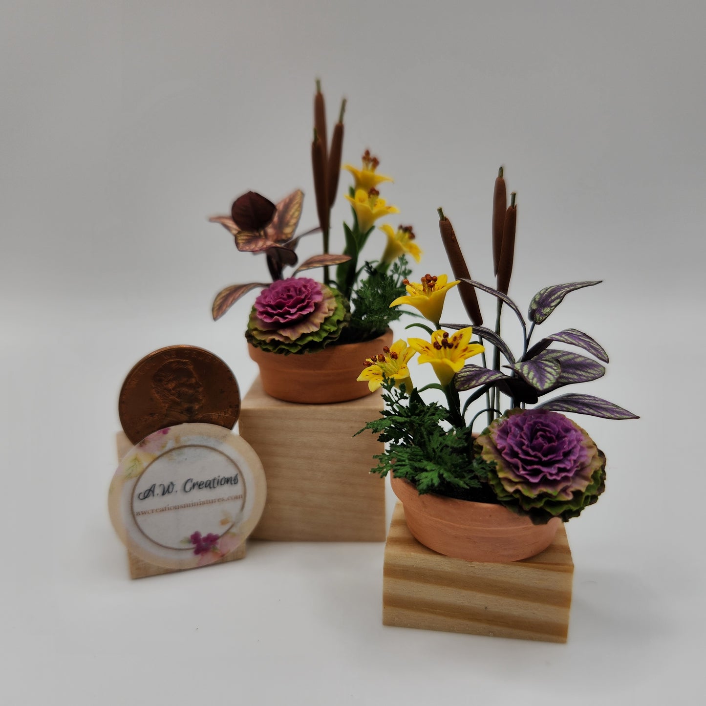 Flowering Cabbage Planter