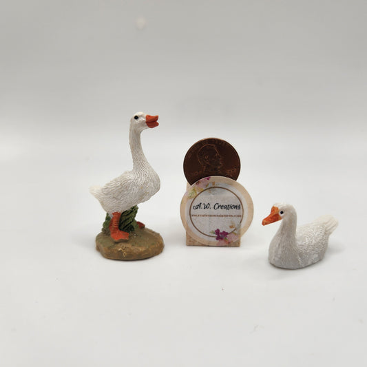Geese