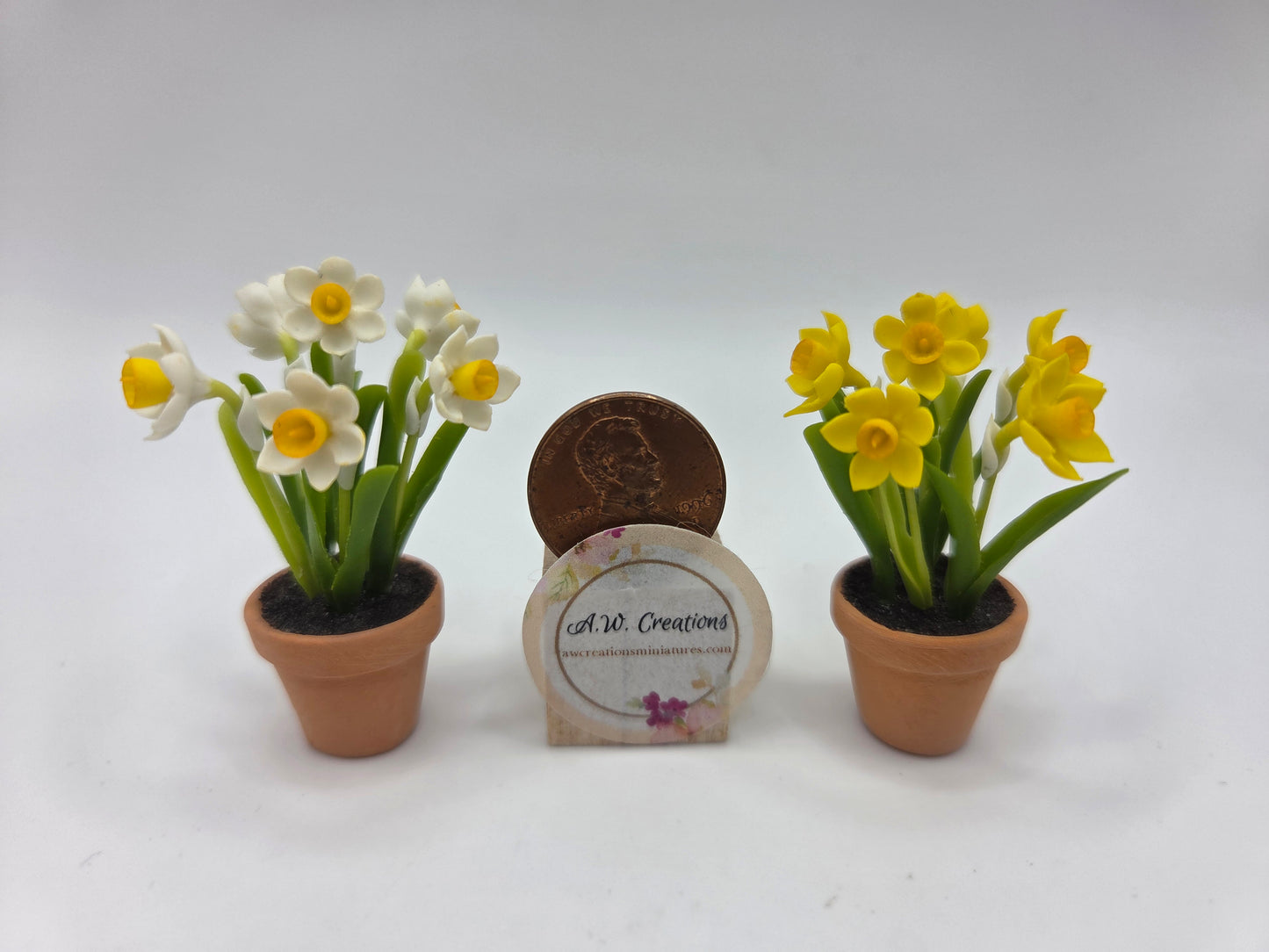 Potted Daffodils - Large
