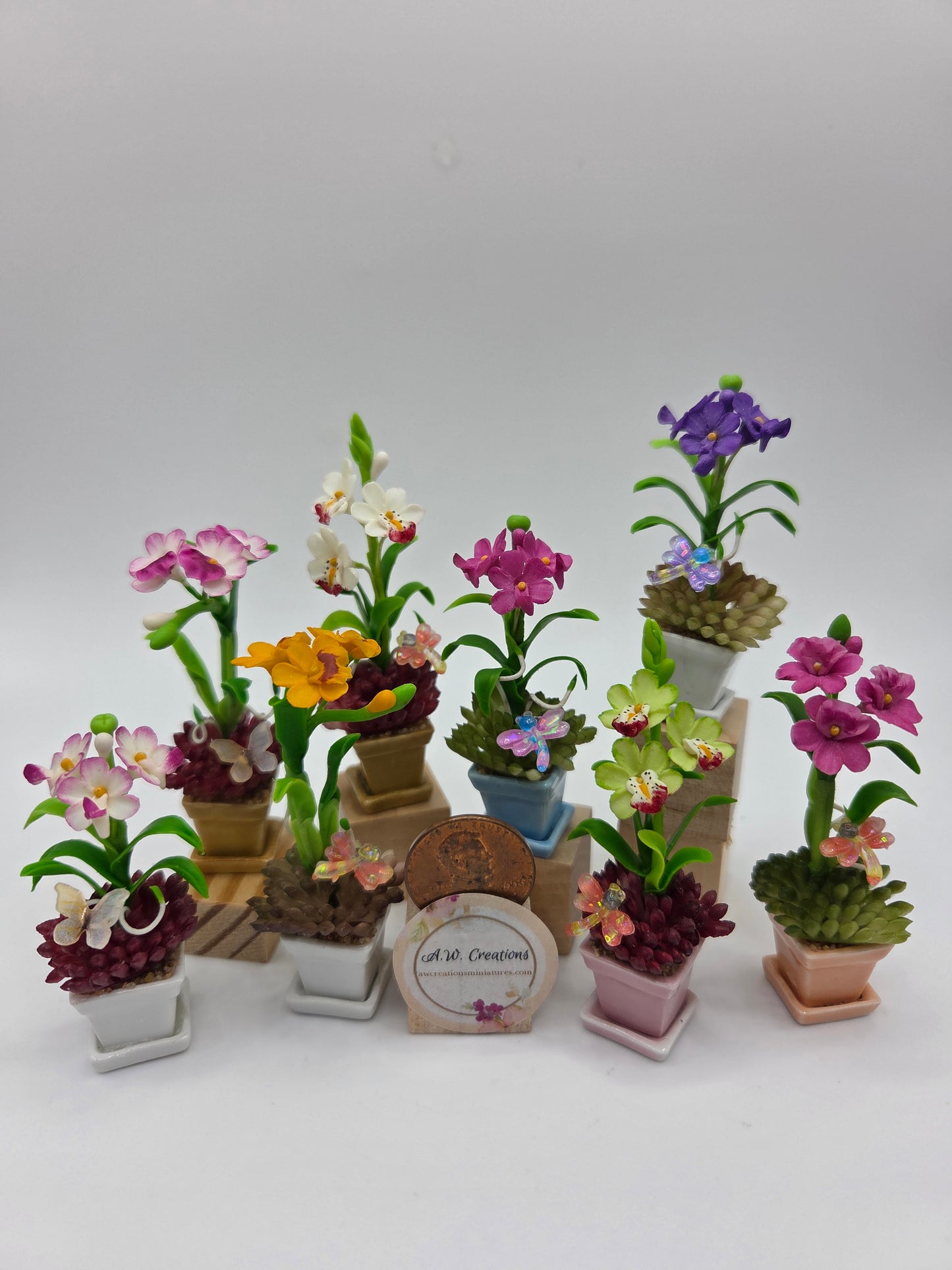 Orchid Combination Planter