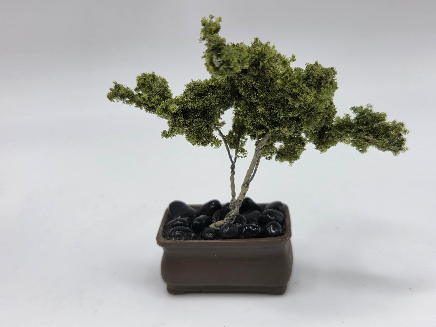 Bonsai Tree