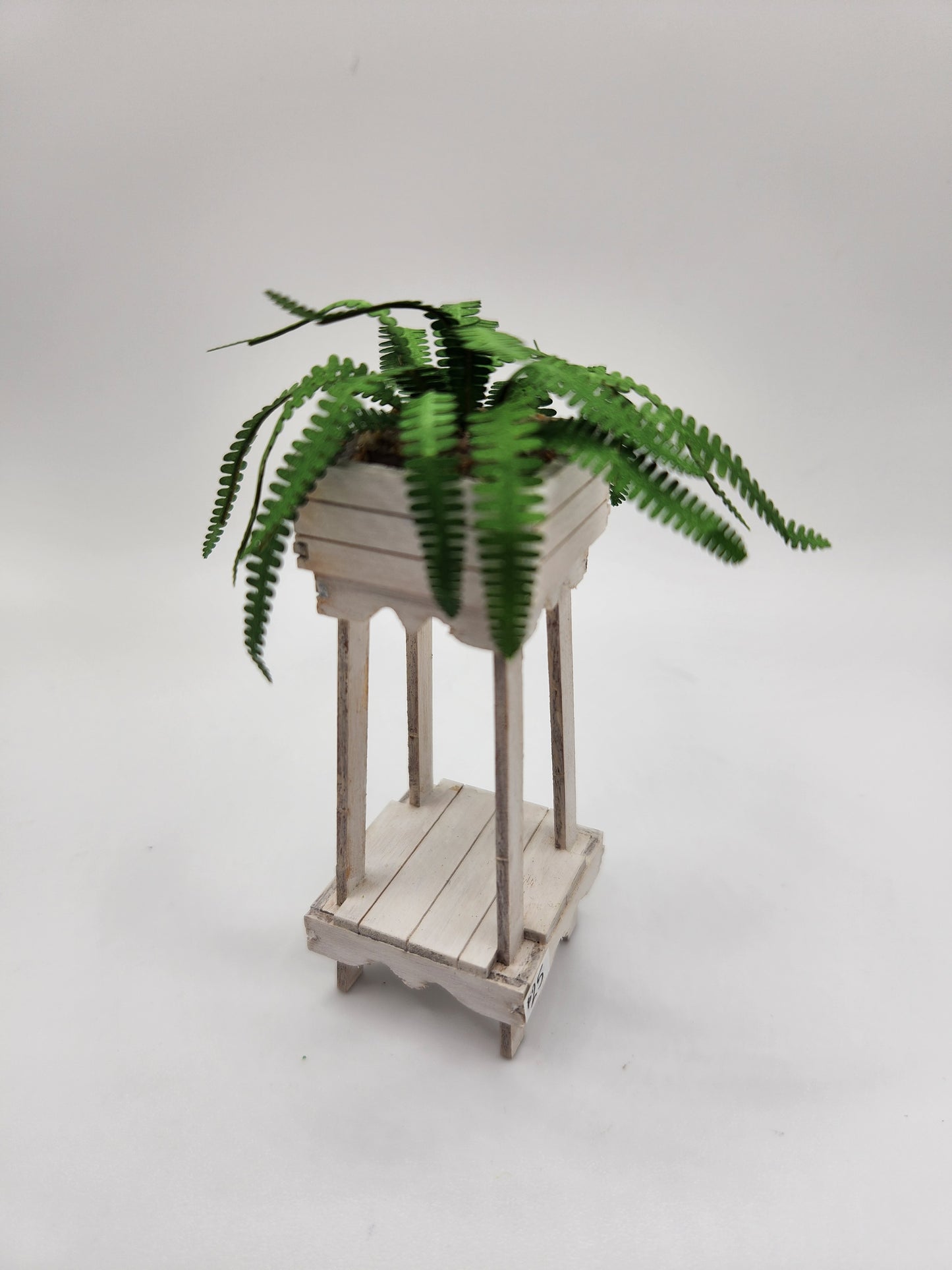 Planter with Boston Fern