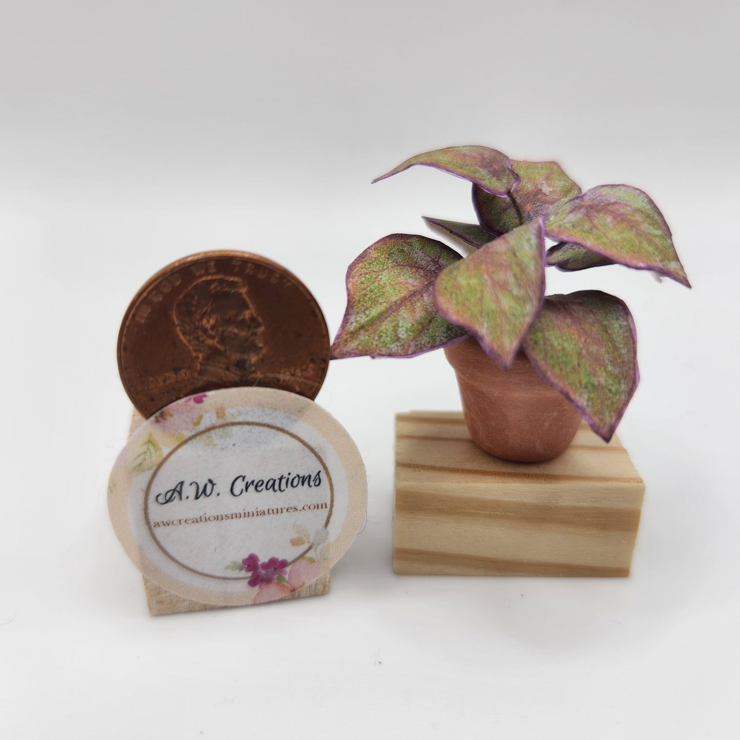 Coleus - Green & Purple