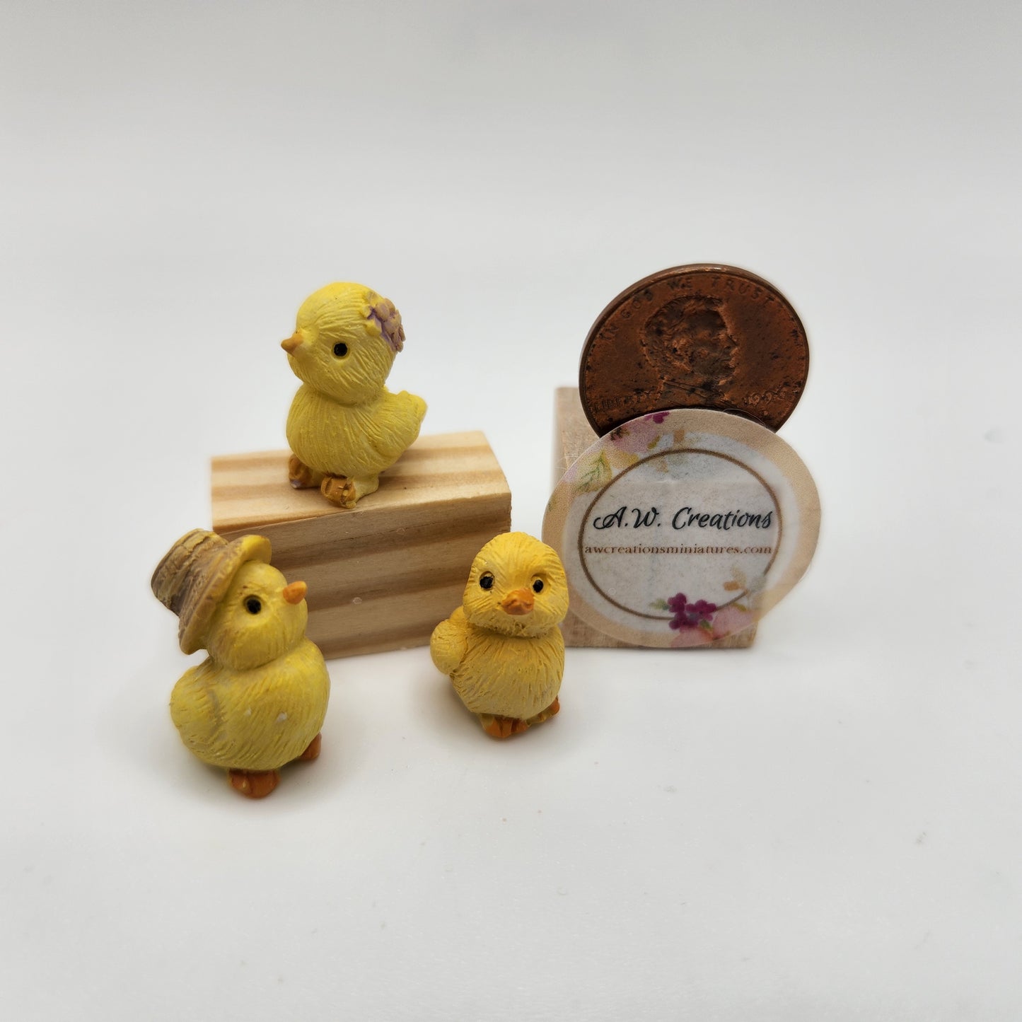 Baby Chicks