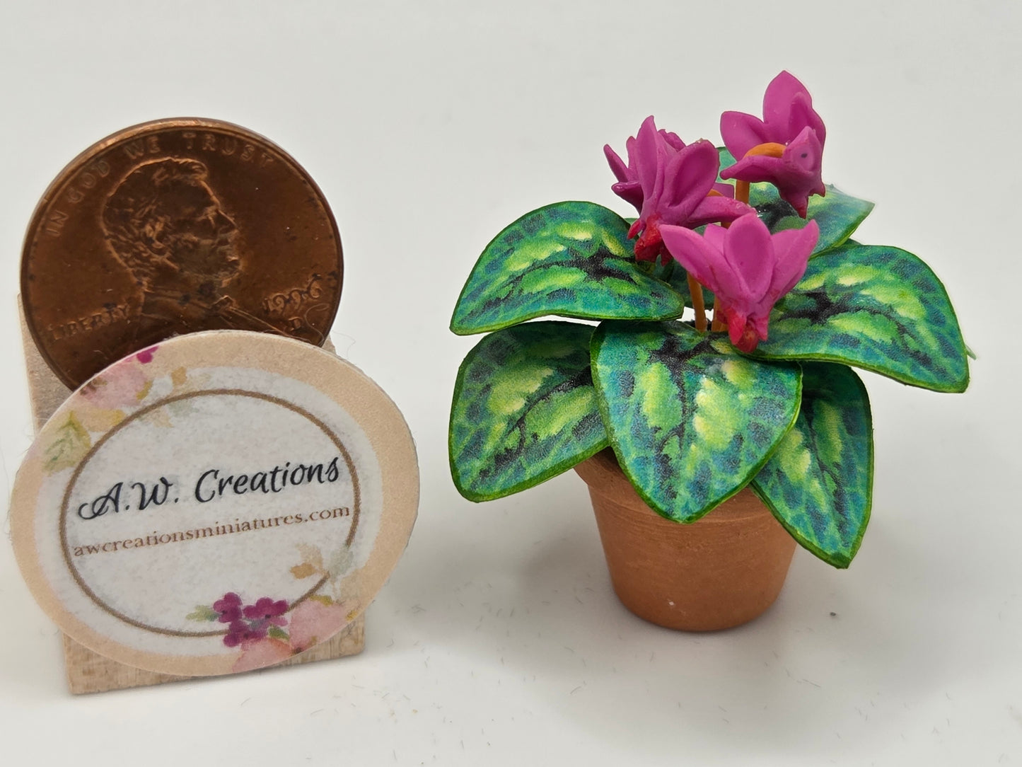 Flowering Plant - Cyclamen