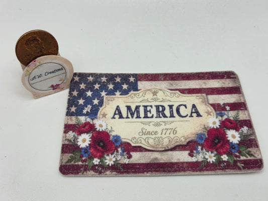 Door Mat - America