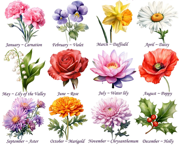 Flower of the Month Club