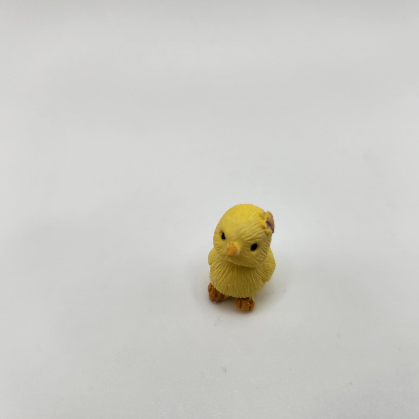 Baby Chicks