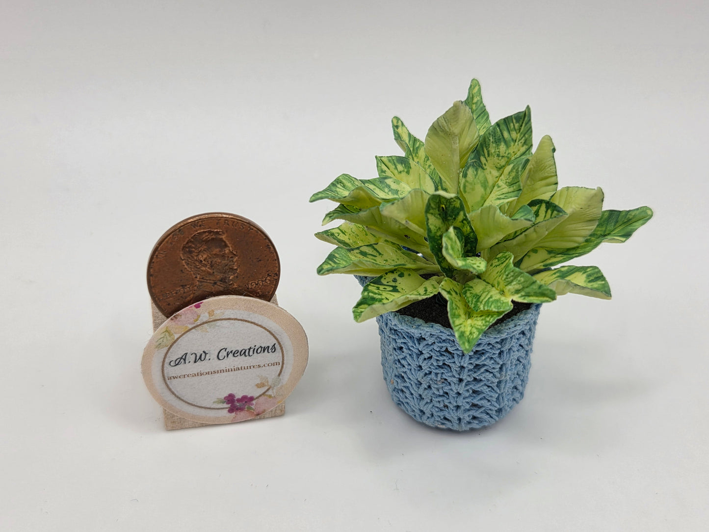 Varigated Green Leaf Plant in Crocheted Planter Basket
