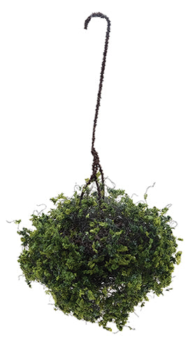 Hanging Plant - Green Large