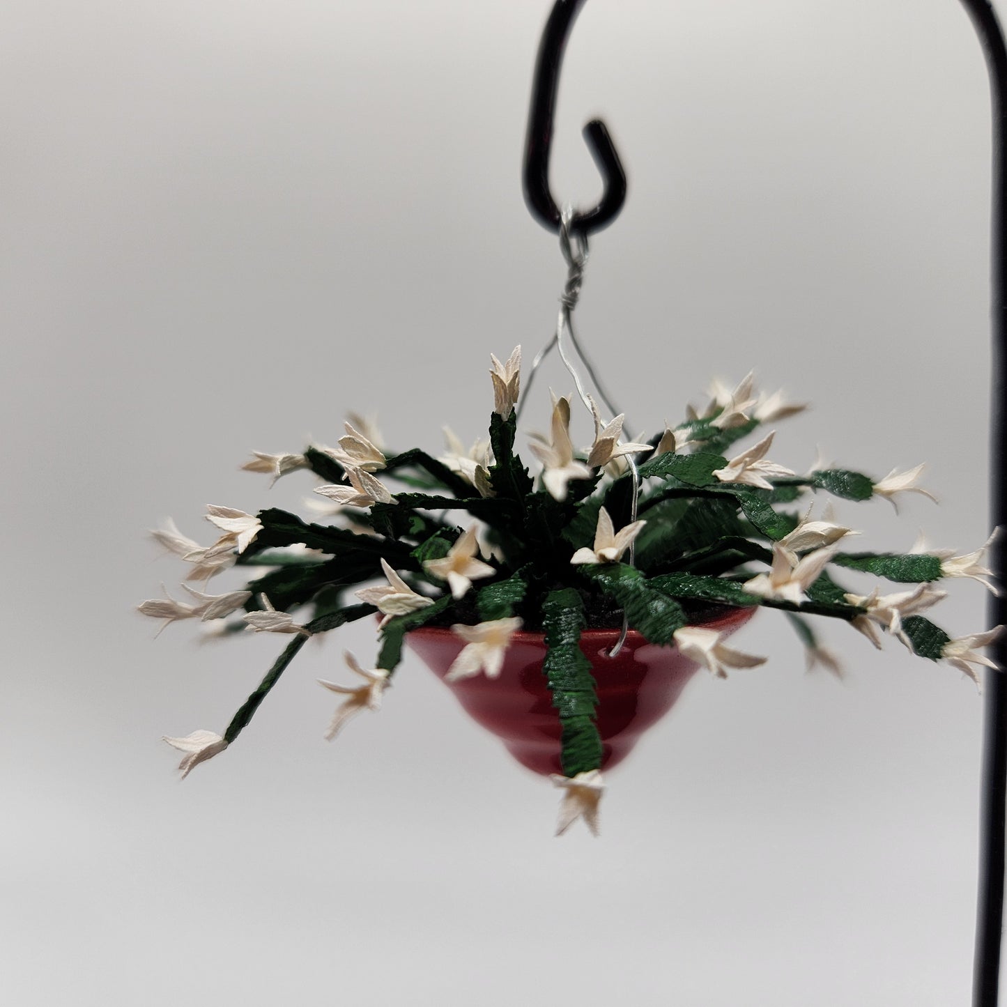 Hanging Christmas Cactus - White