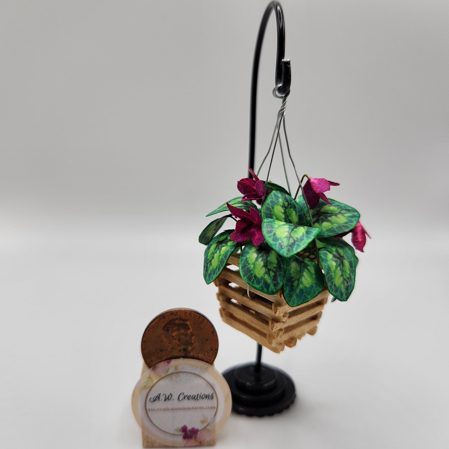 Hanging Cyclamen