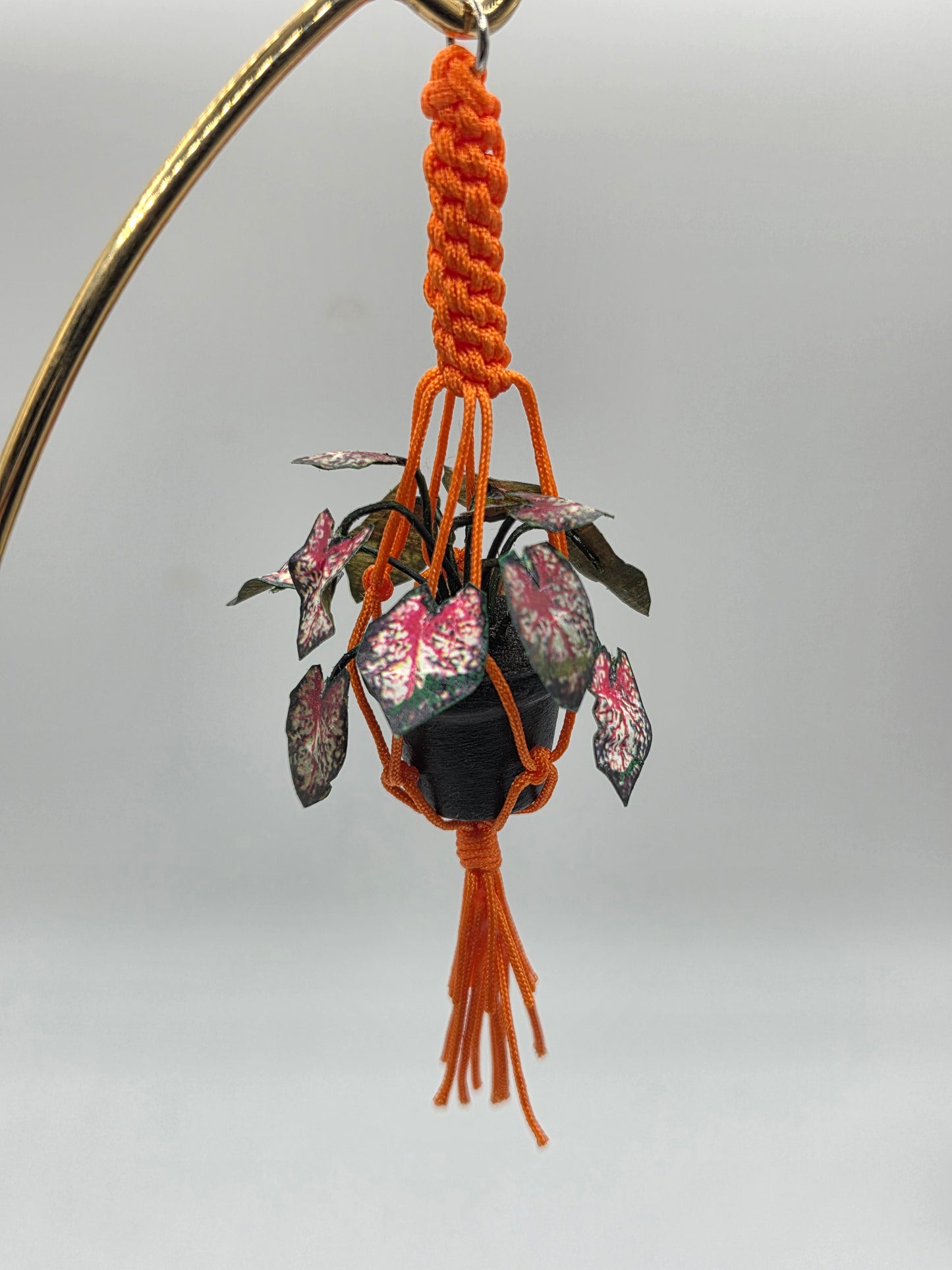 Hanging Plant - Orange Macrame