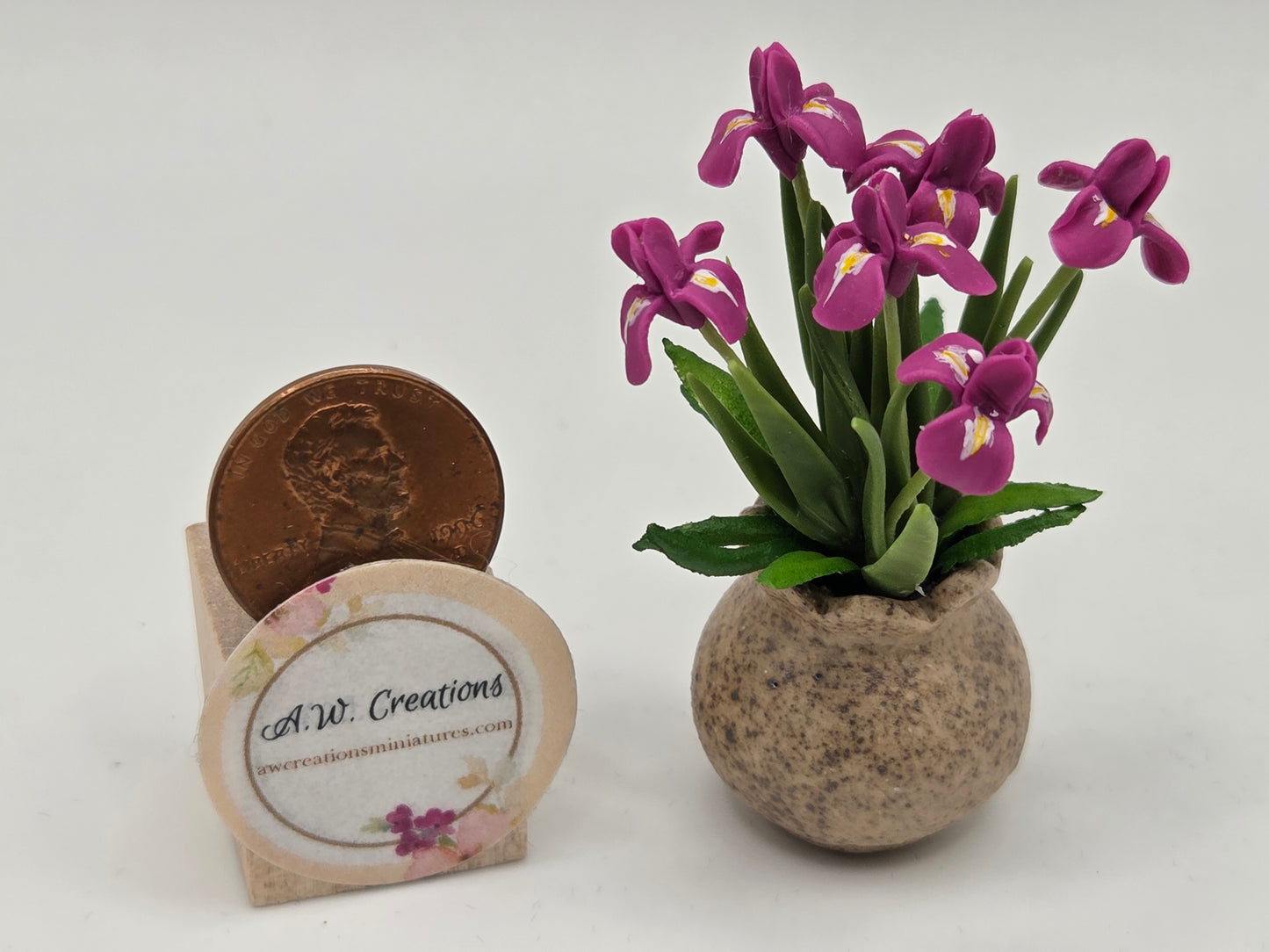 Iris Planter