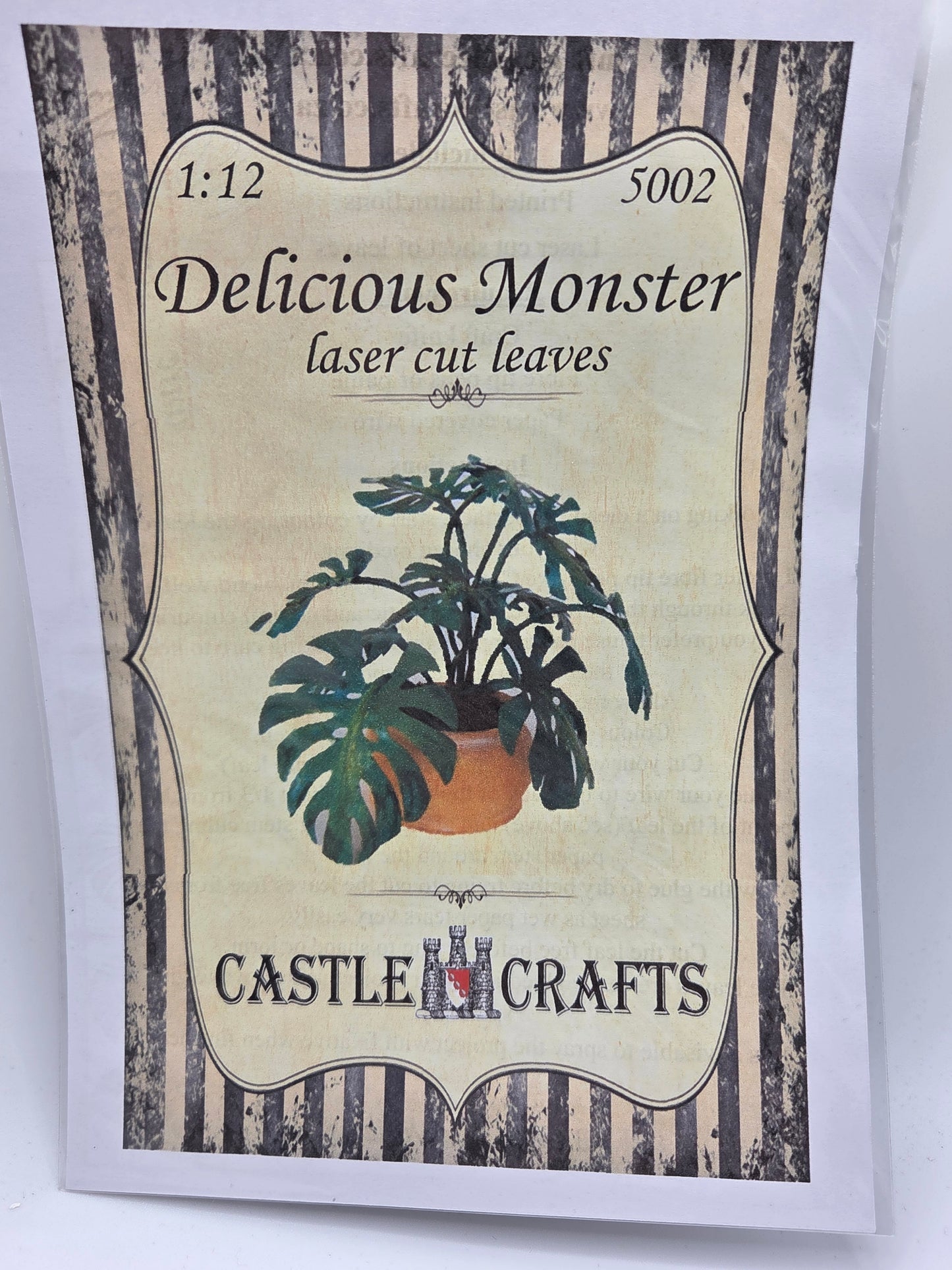Kit - Delicious Monstera #5002