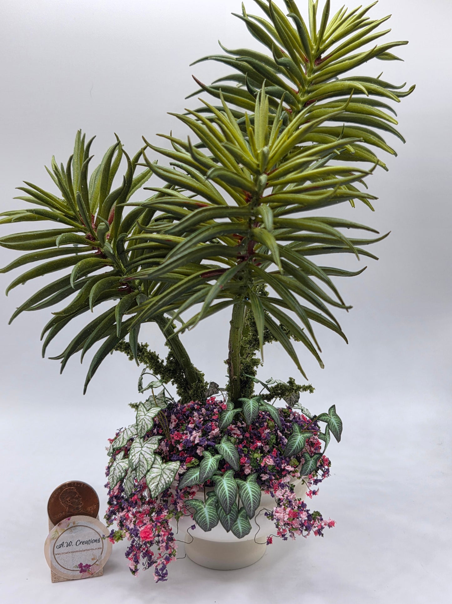 Large Combination Planter - Caladium