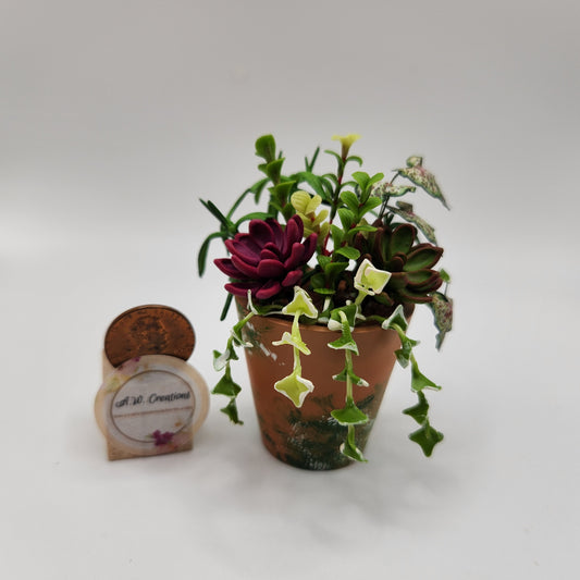 Succulent Planter - Large