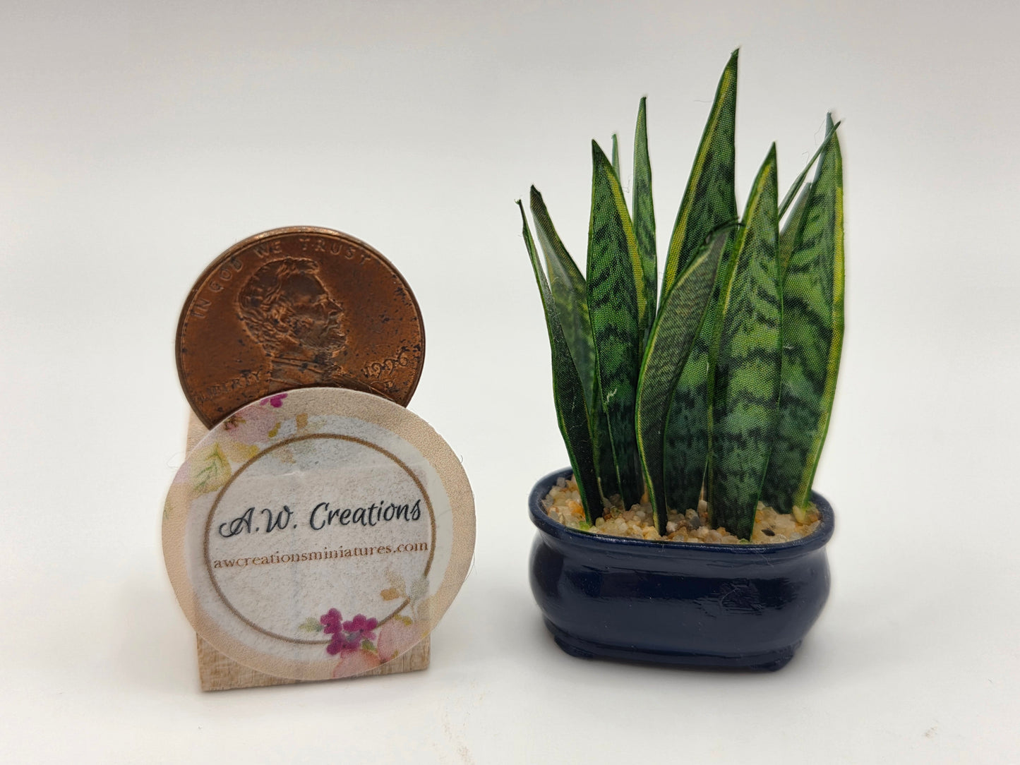 Mother-in-law Tongue Plant - Blue Container