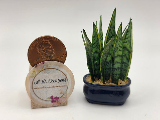 Mother-in-law Tongue Plant - Blue Container