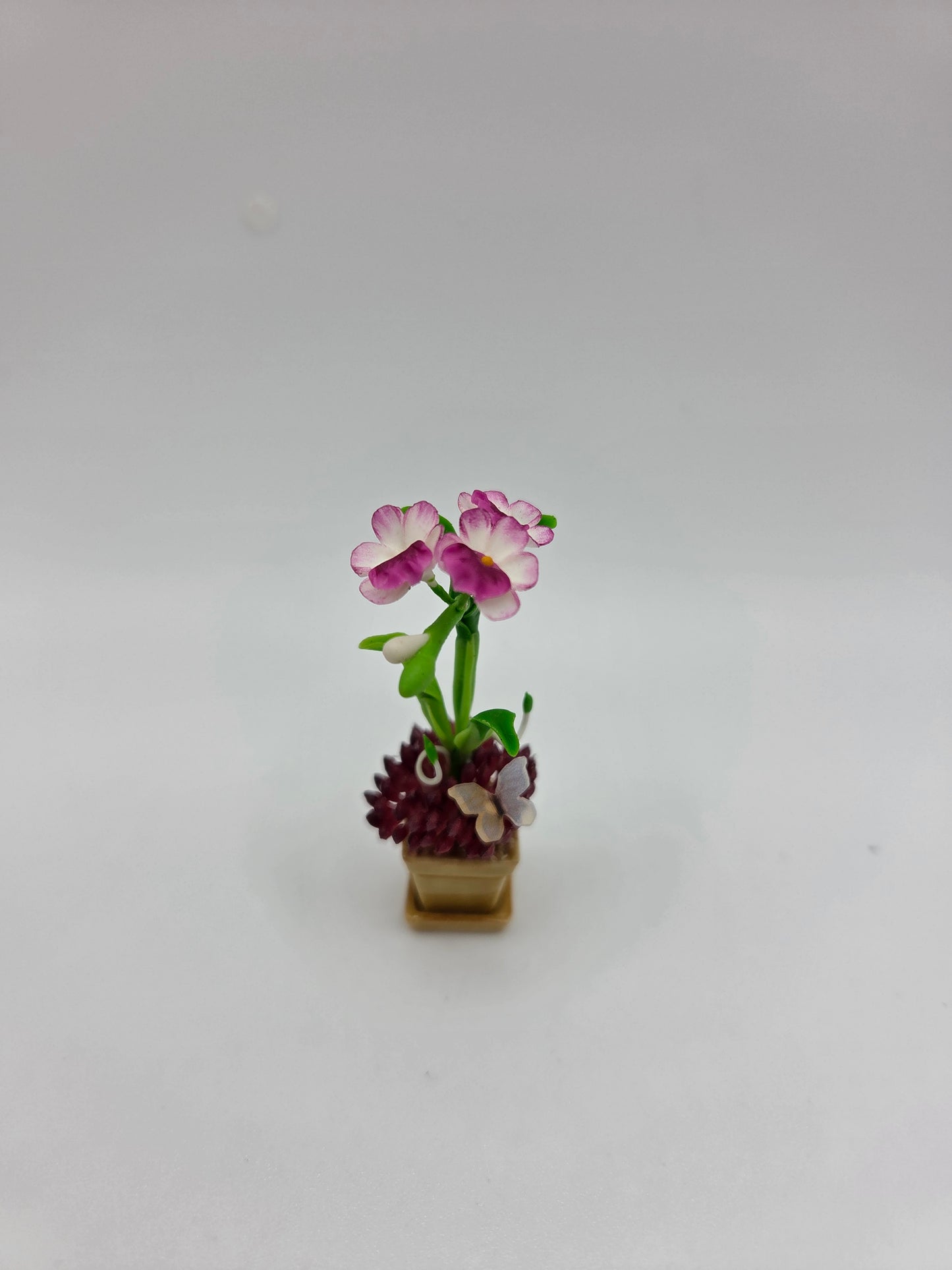 Orchid Combination Planter