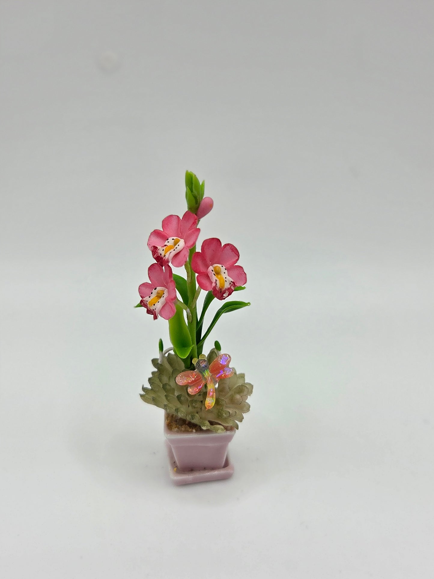 Orchid Combination Planter