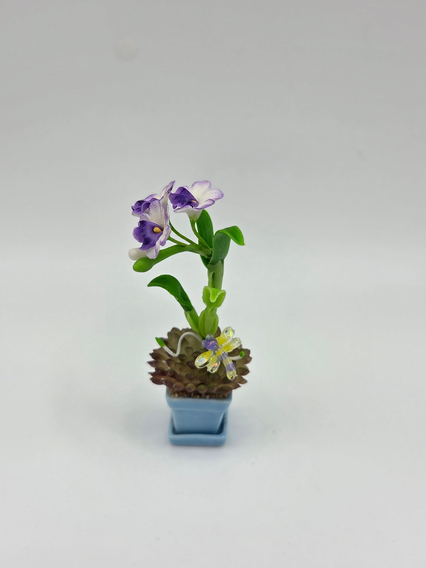 Orchid Combination Planter