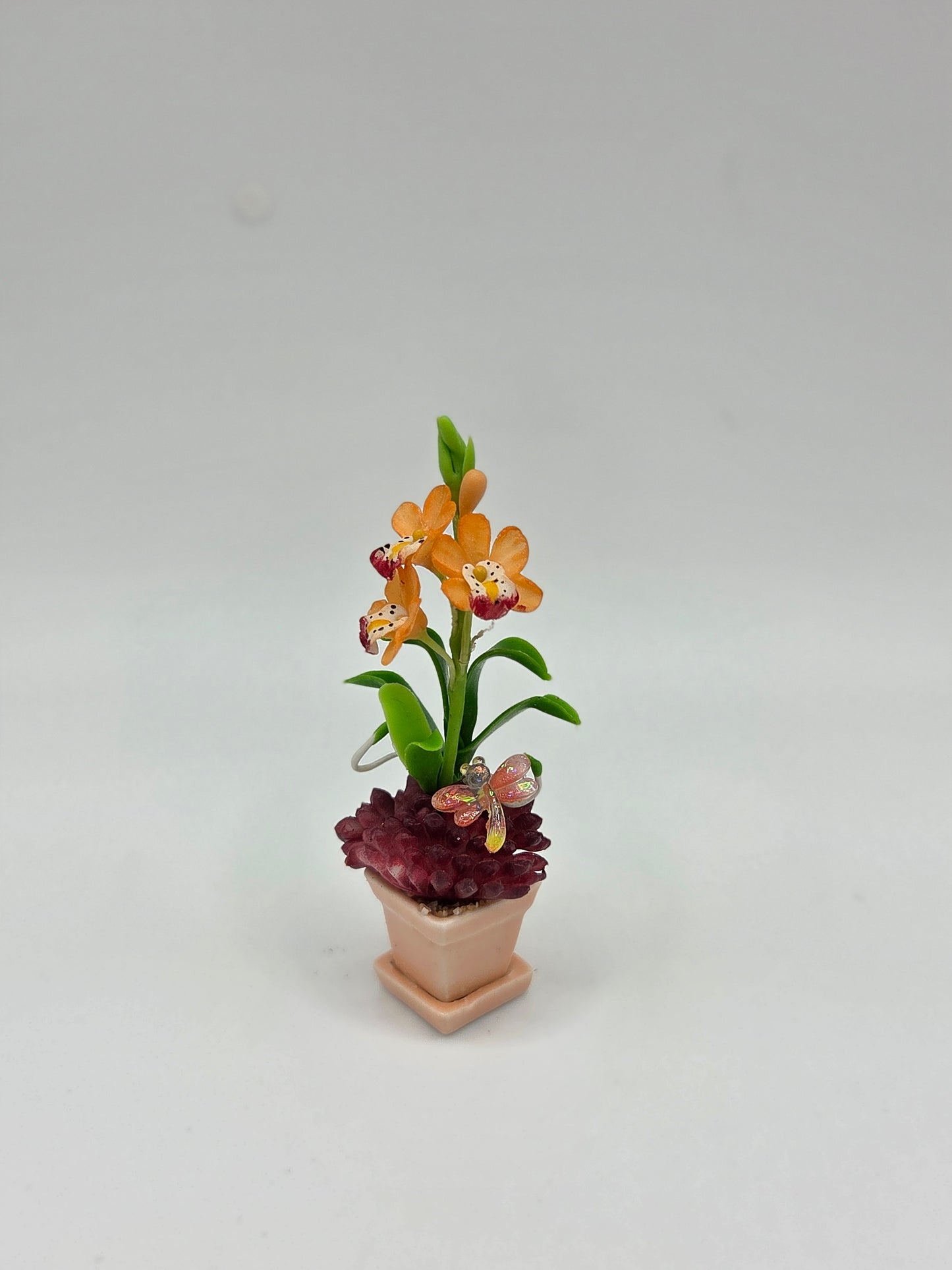 Orchid Combination Planter