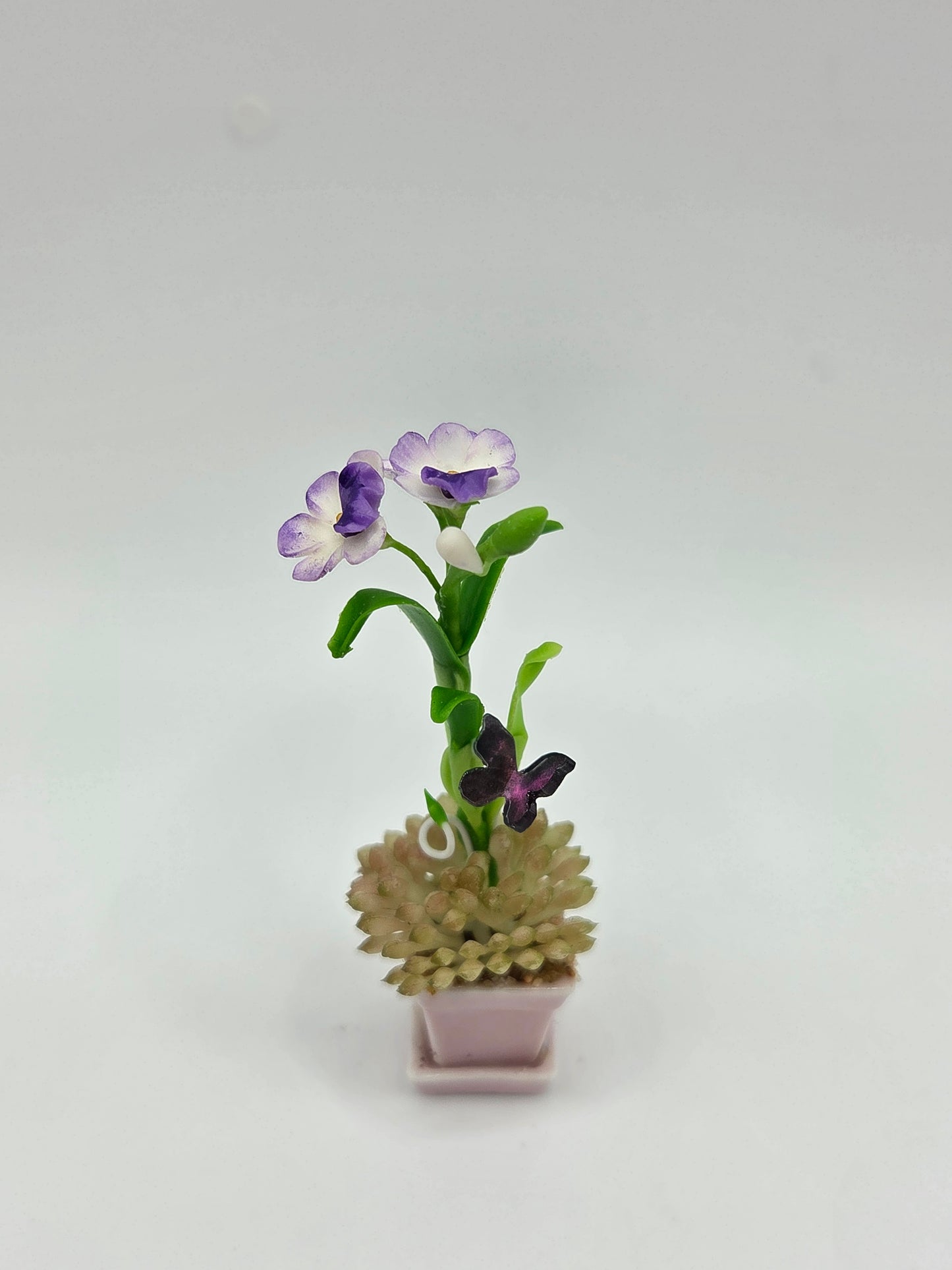 Orchid Combination Planter