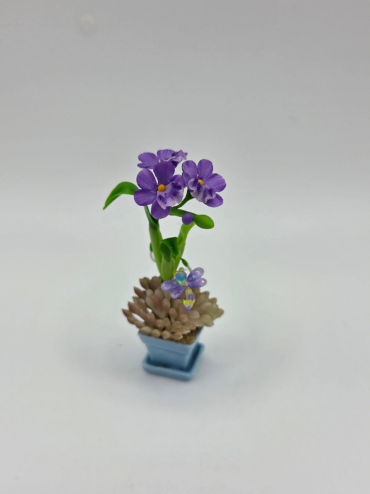 Orchid Combination Planter