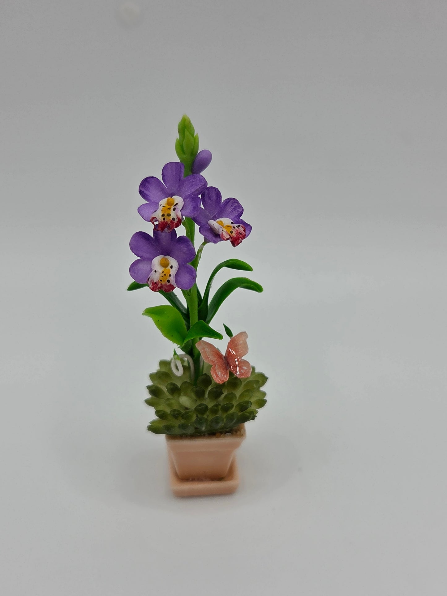 Orchid Combination Planter