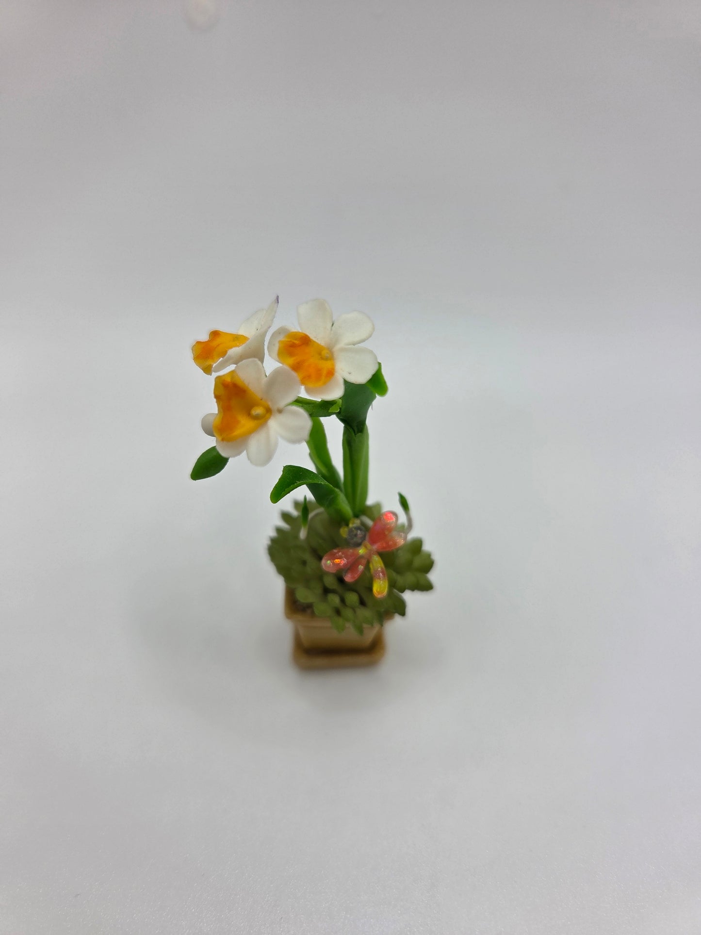 Orchid Combination Planter