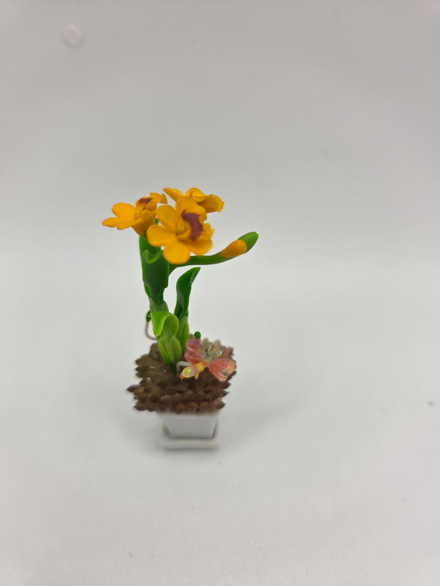 Orchid Combination Planter