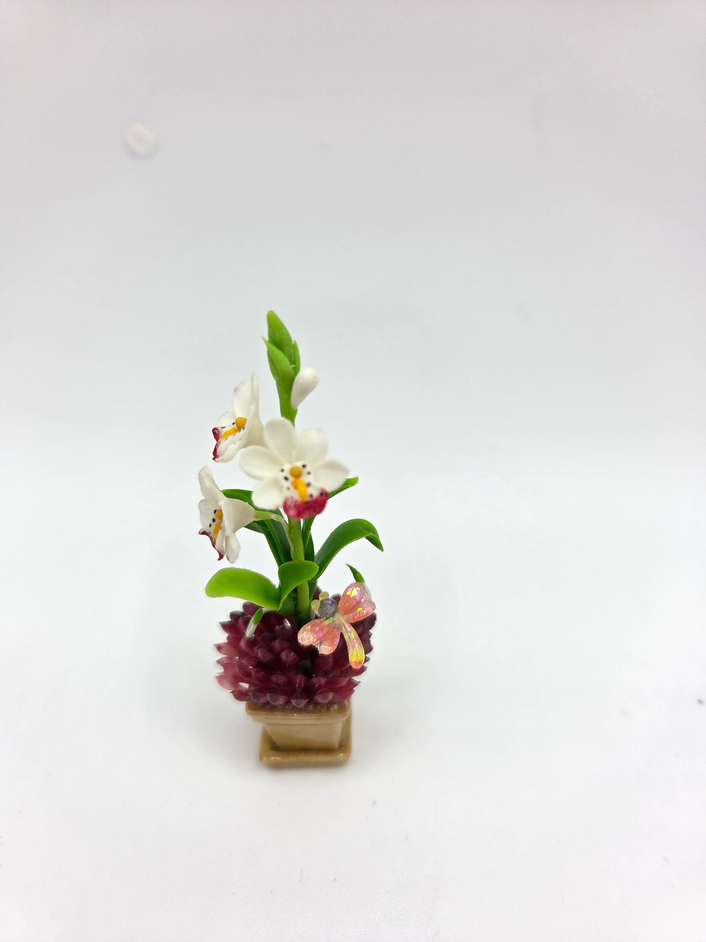 Orchid Combination Planter