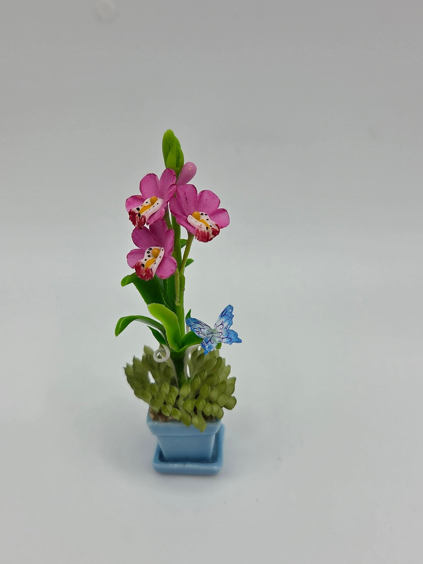 Orchid Combination Planter