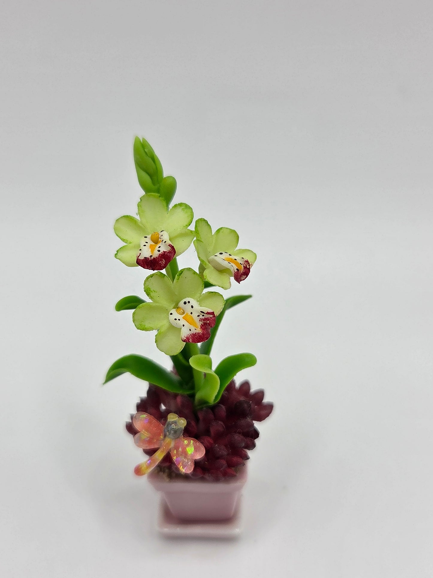 Orchid Combination Planter