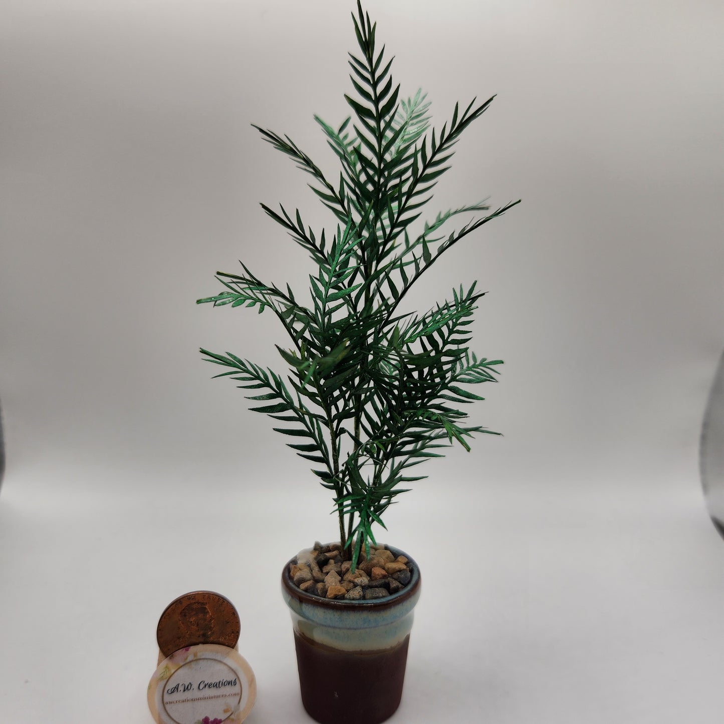 Palm Tree in Brown & Blue Pot