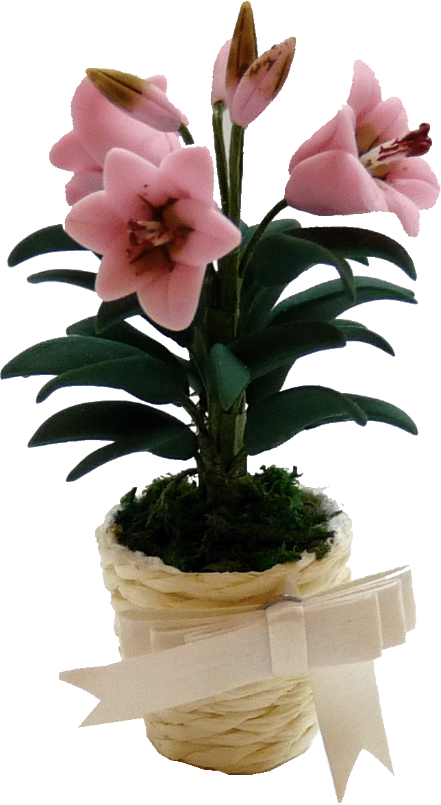 Pink Lily in Basket