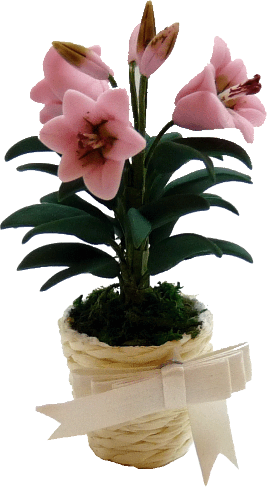 Pink Lily in Basket