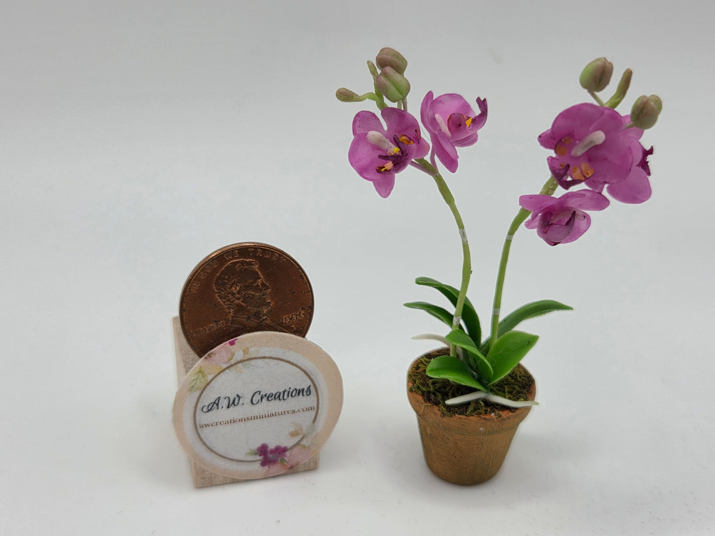 Orchid - Pink