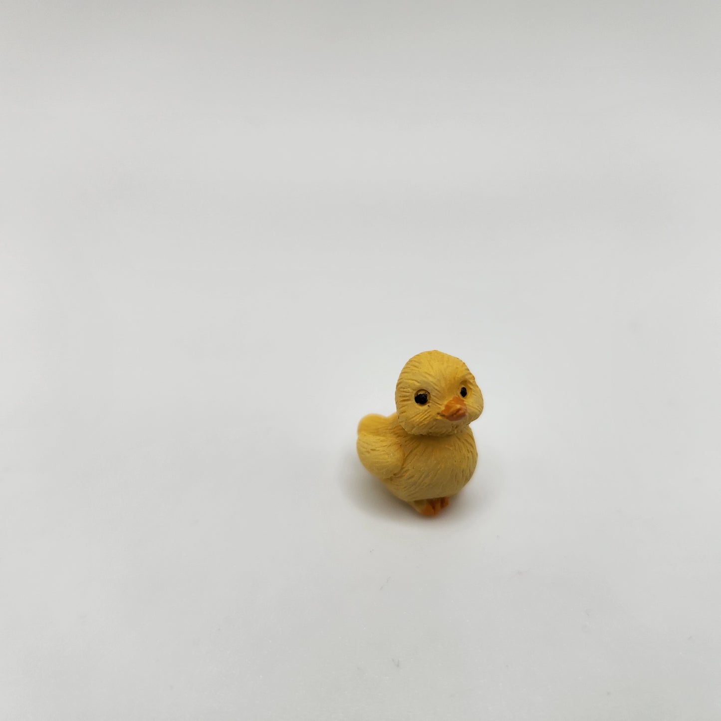 Baby Chicks