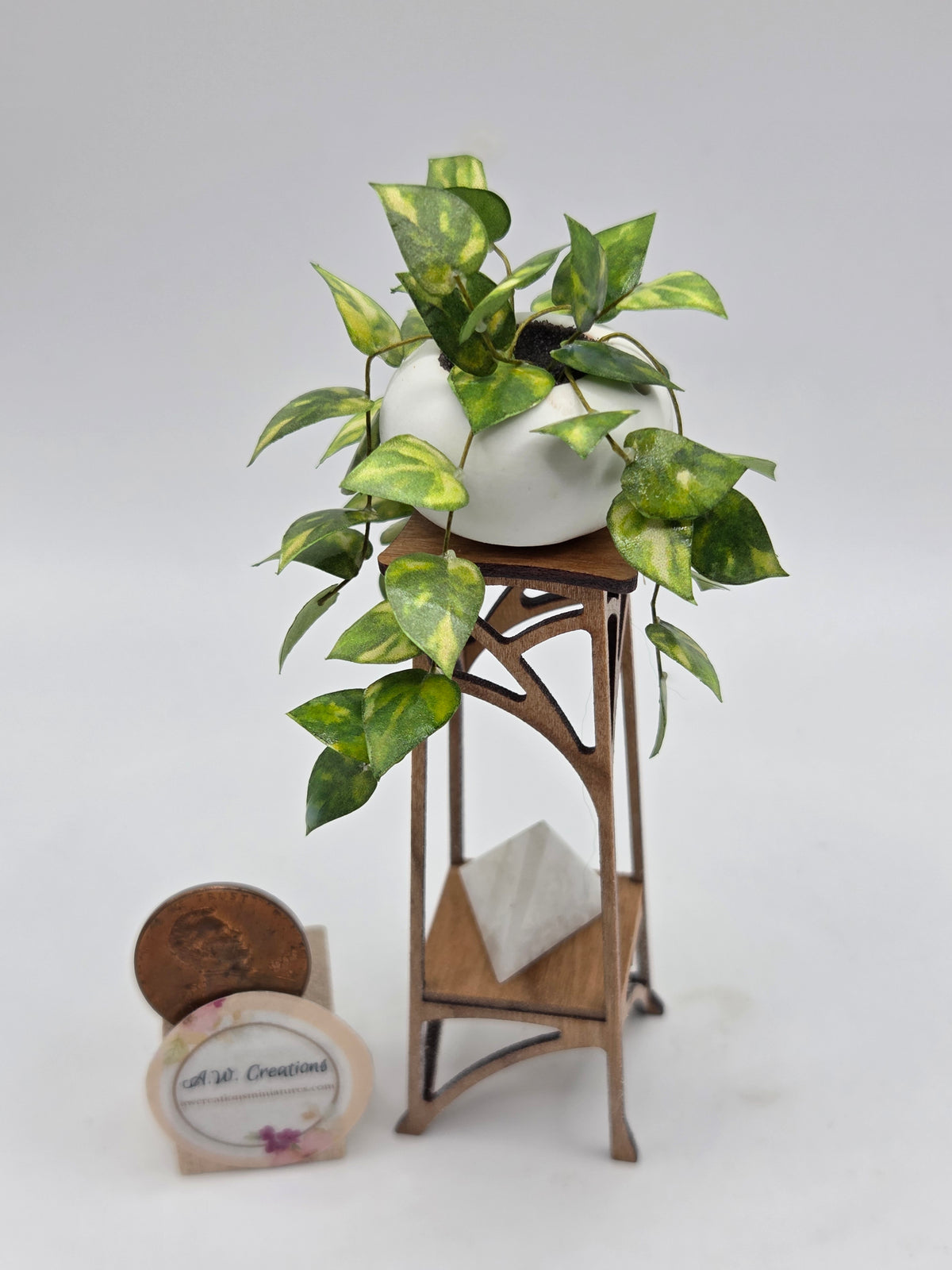 Pothos on Stand