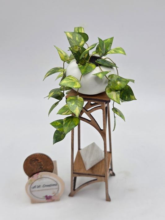 Pothos on Stand