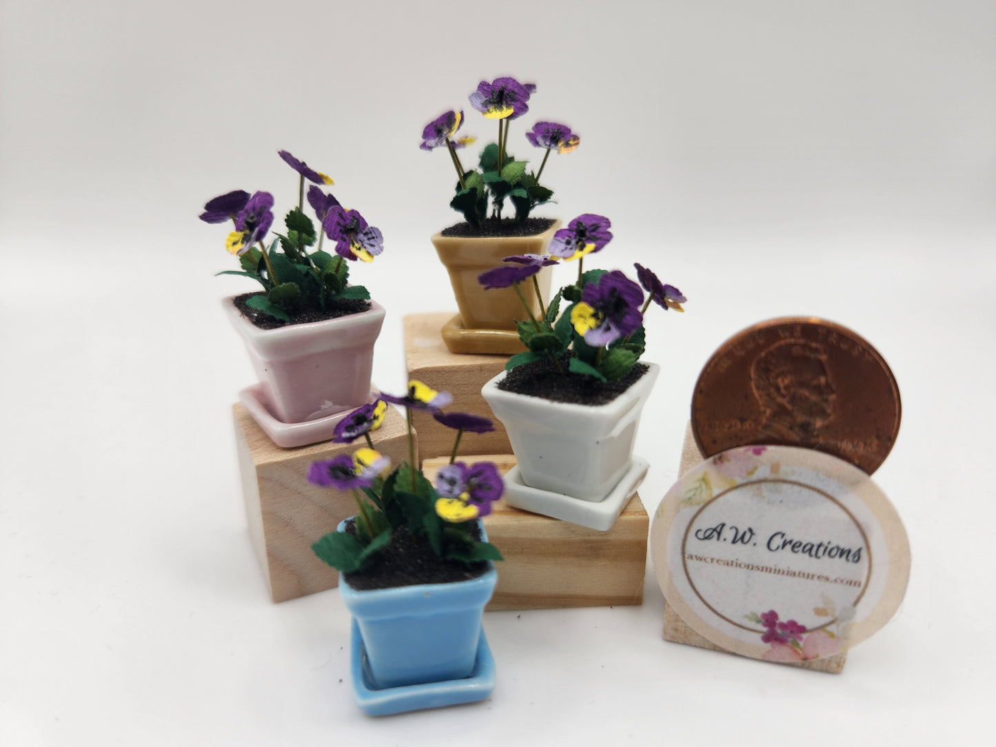 Potted Pansies in Ceramic pot
